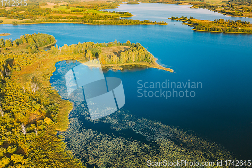 Image of Braslaw District, Vitebsk Voblast, Belarus. Aerial View Of Ikazn Lake, Green Forest Landscape. Top View Of Beautiful European Nature From High Attitude. Bird\'s Eye View. Famous Lakes