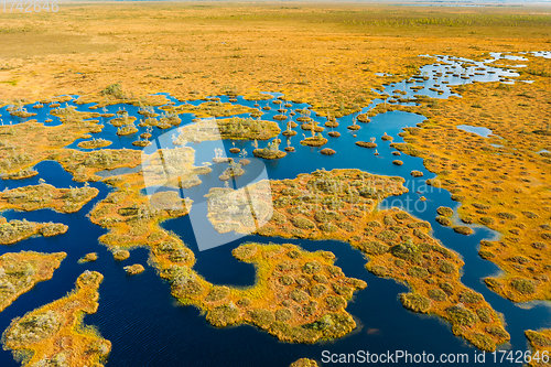 Image of Miory District, Vitebsk Region, Belarus. The Yelnya Swamp. Upland And Transitional Bogs With Numerous Lakes. Elevated Aerial View Of Yelnya Nature Reserve Landscape. Famous Natural Landmark