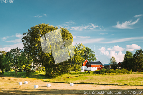 Image of Swedish Rural Landscape Field With Dry Hay Bales Rolls After Harvest In Sunny Evening. Farmland With Red Farm Barn In Village