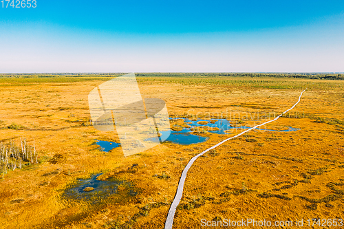 Image of Miory District, Vitebsk Region, Belarus. The Yelnya Swamp. Aerial View Of Yelnya Nature Reserve Landscape. Narrow Wooden Hiking Trail Winding Through Marsh. Cognitive Boardwalk Trail Over A Wetland