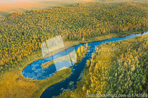 Image of Domzheritsy, Vitebsk Region, Belarus. Buzyanka River. Aerial View Of Summer Curved River Landscape In Autumn Evening. Top View Of Beautiful European Nature From High Attitude In Summer Season