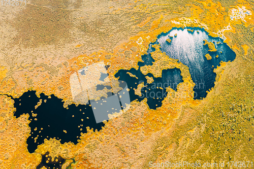 Image of Miory District, Vitebsk Region, Belarus. The Yelnya Swamp. Upland And Transitional Bogs With Numerous Lakes. Elevated Aerial View Of Yelnya Nature Reserve Landscape. Famous Natural Landmark