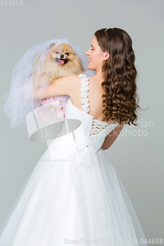 Image of beautiful bride girl with spitz bride on gray background