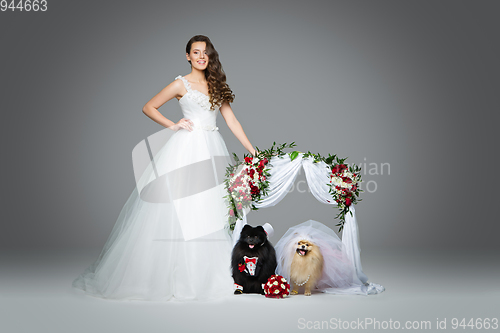 Image of bride girl with dog wedding couple under flower arch