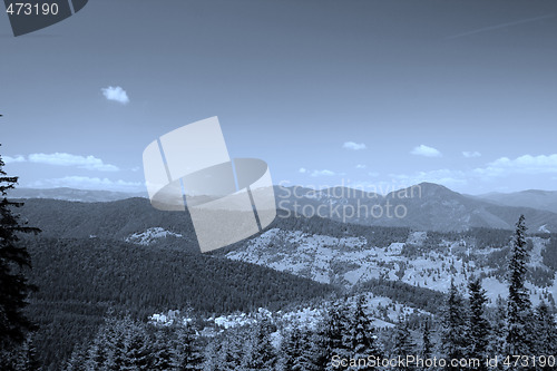 Image of Forest landscape