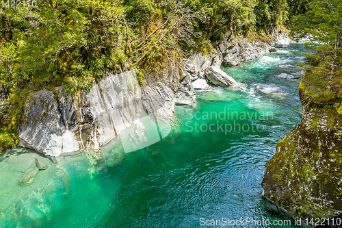 Image of Haast River Landsborough Valley New Zealand