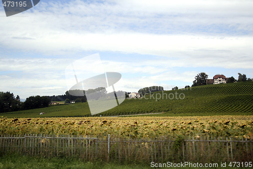 Image of Country landscape