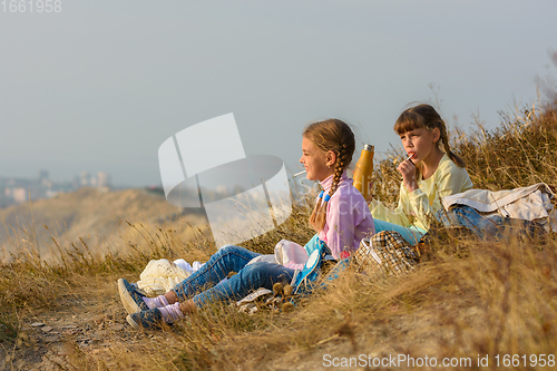 Image of Children on a picnic drink water and eat sweets