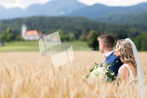 Image of Bride hugs groom tenderly in wheat field somewhere in Slovenian countryside.