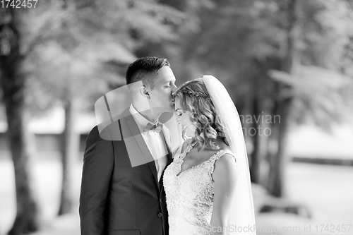 Image of Groom hugging bride tenderly and kisses her on forehead during photo shooting in park.