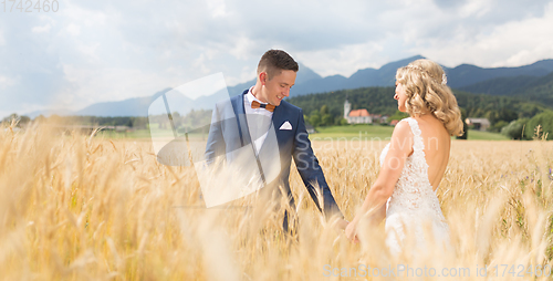 Image of Groom and bride holding hands in wheat field somewhere in Slovenian countryside.