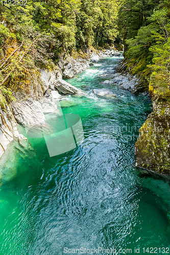 Image of Haast River Landsborough Valley New Zealand