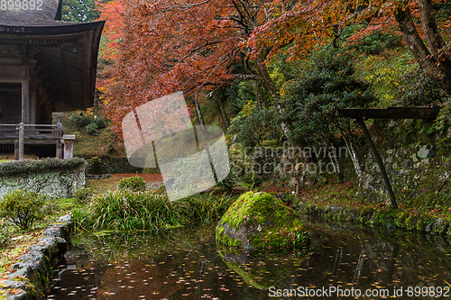Image of Japanese garden in Autumn season