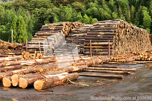 Image of Timber industry