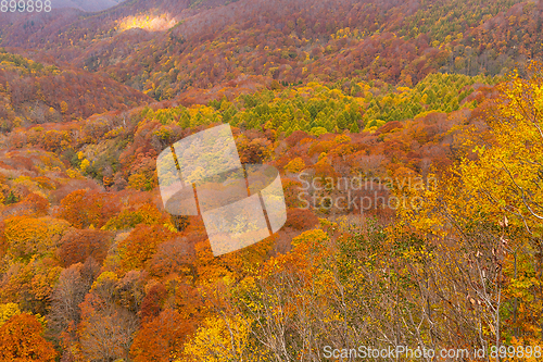 Image of Autumn landscape in mountain