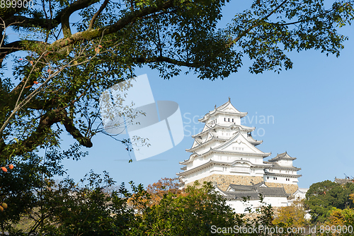 Image of Himeji castle