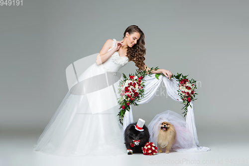 Image of bride girl with dog wedding couple under flower arch