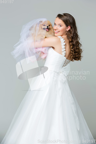 Image of beautiful bride girl with spitz bride on gray background