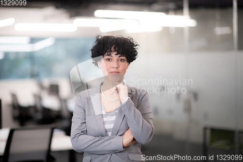 Image of Portrait of successful female software developer