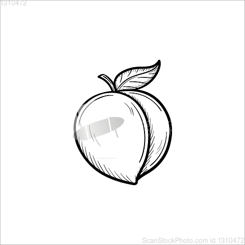 Image of Plum hand drawn sketch icon.