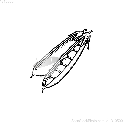 Image of Peapod hand drawn sketch icon.