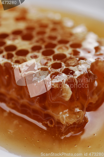 Image of honey comb