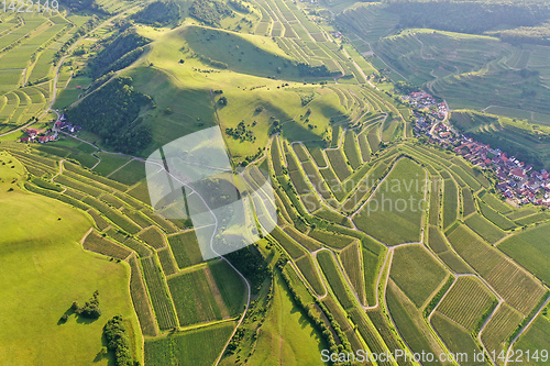 Image of aerial view vineyard scenery at Kaiserstuhl Germany