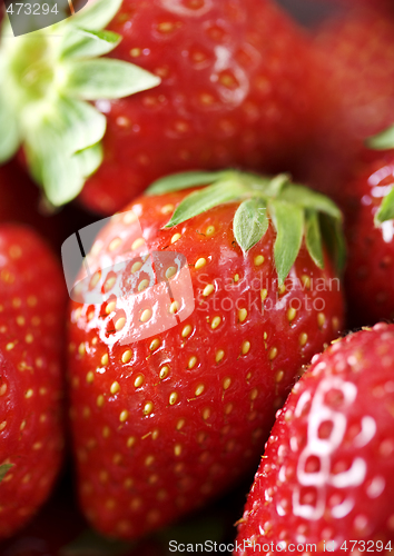 Image of strawberrys