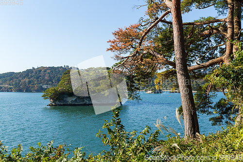 Image of Japanese Matsushima