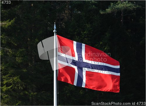 Image of Norwegian national flag