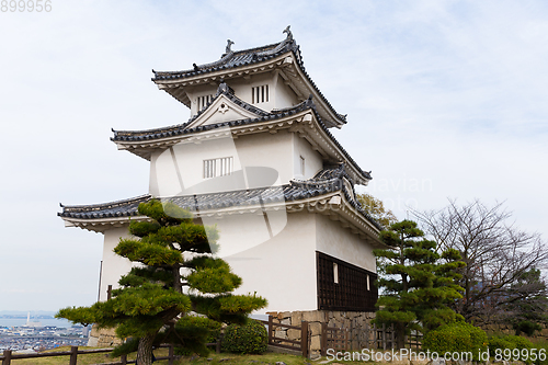 Image of Japanese Marugame Castle