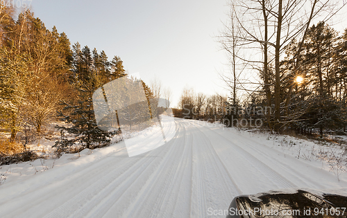 Image of road in the forest