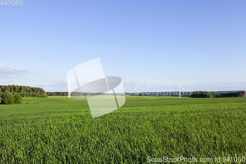 Image of electric transmission line