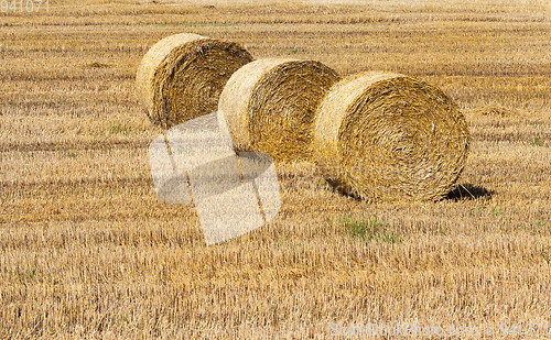 Image of Hay and agriculture farm