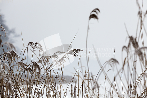 Image of Winter season
