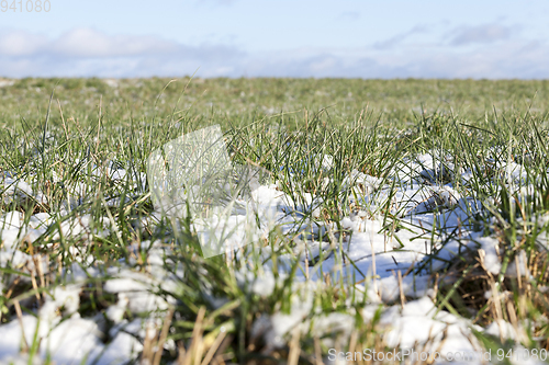 Image of After snowfall