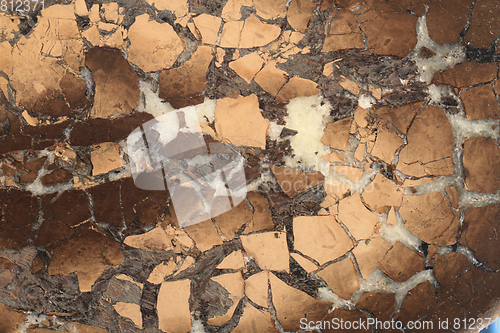 Image of natural agate texture 