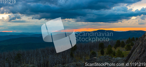 Image of Landscape with dead forest