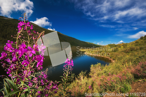 Image of Lake in the Altai Mountains