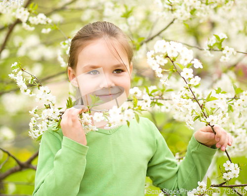 Image of Portrait of a little girl near tree in bloom