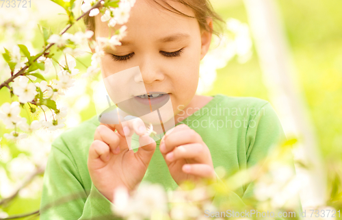 Image of Portrait of a little girl near tree in bloom