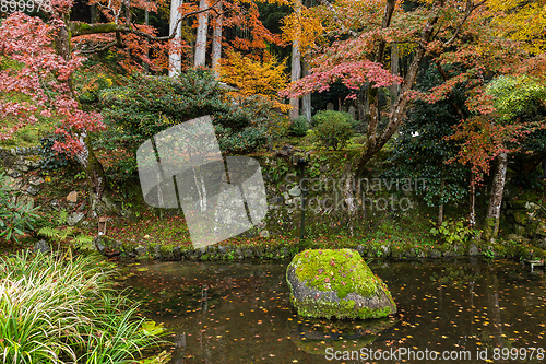 Image of Japanese garden