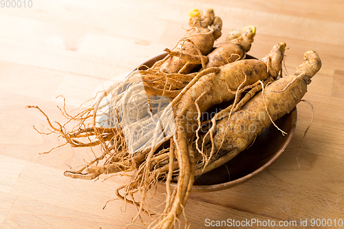 Image of Ginseng