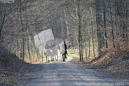 Image of Group of Horse riders in a forest