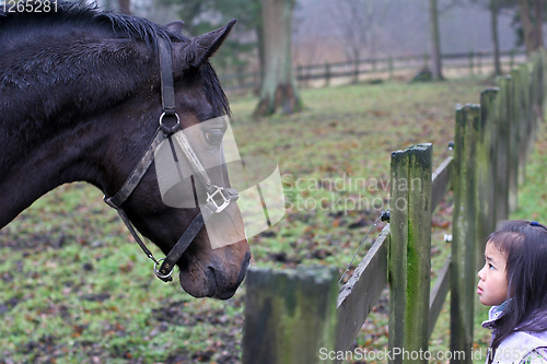 Image of Child with horse