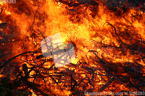 Image of Detail of flames in an outdoor fire in Denmark