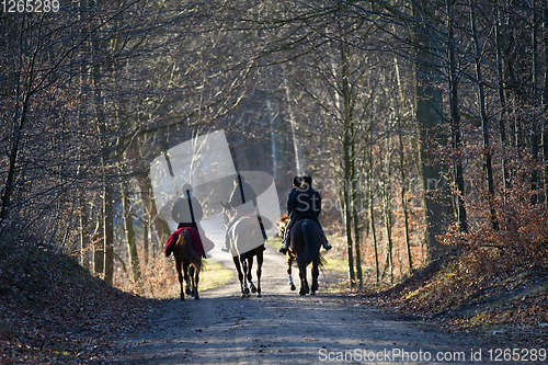 Image of Group of Horse riders in a forest