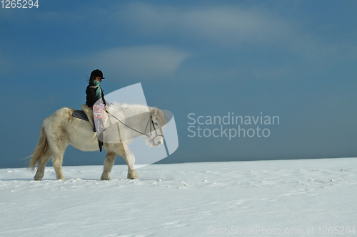 Image of Girl Horse riding in the snow