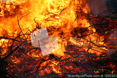 Image of Detail of flames in an outdoor fire in Denmark