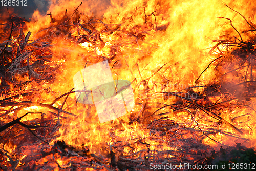 Image of Detail of flames in an outdoor fire in Denmark